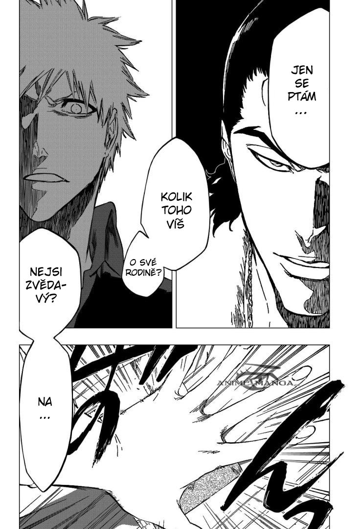 bleach-ch428-07 kopie.jpg